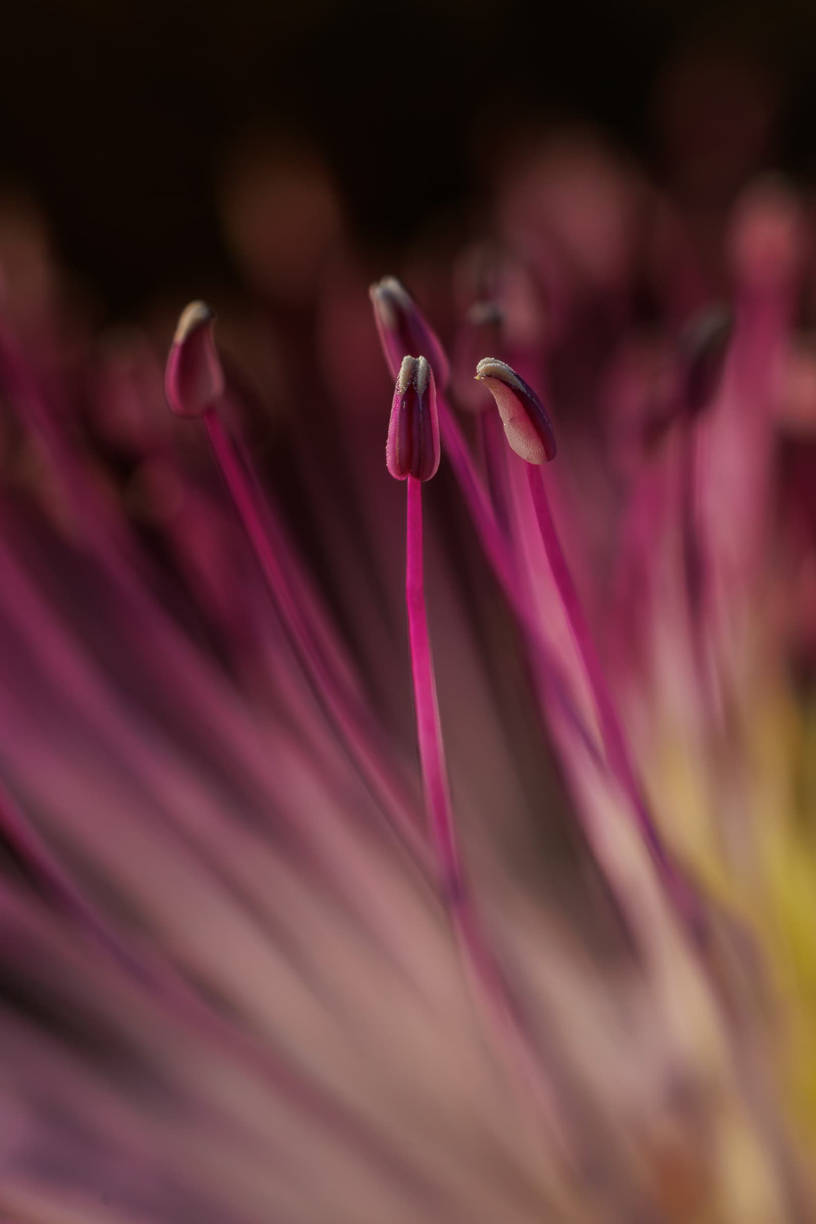 Detail 01
